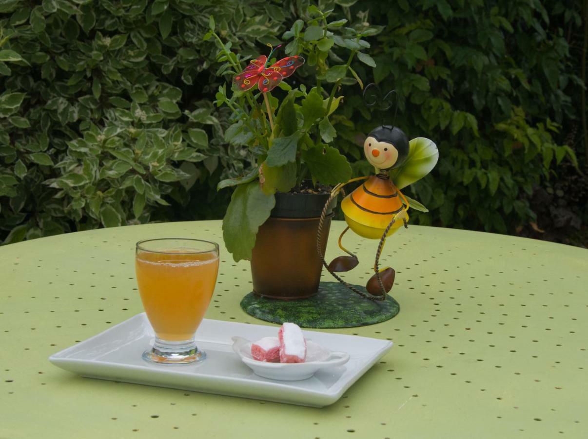 Bed and Breakfast Les Rendzines Nuisement-sur-Coole Exterior foto